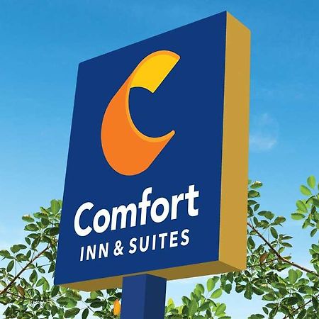 Comfort Inn & Suites Newark Liberty International Airport Esterno foto